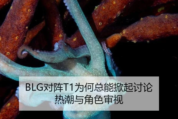 BLG对阵T1为何总能掀起讨论热潮与角色审视